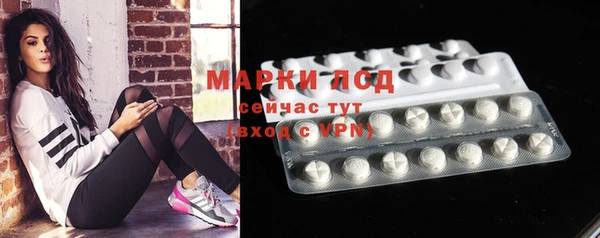 шишки Коряжма
