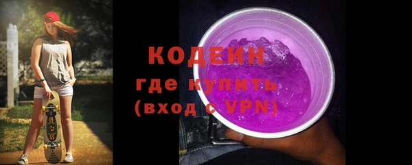шишки Киренск