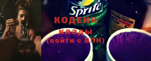 шишки Коряжма