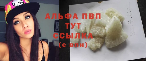 шишки Коряжма