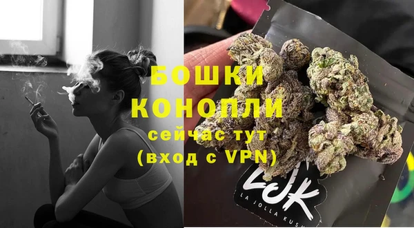 шишки Коряжма