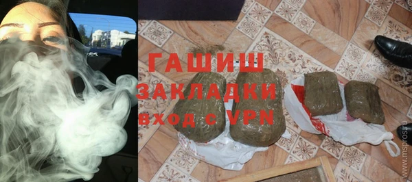 шишки Коряжма